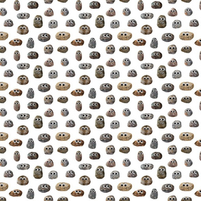 Rocks with Googly Eyes Small Scale