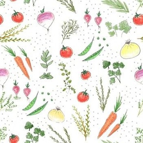 Herbs and Vegetables on white