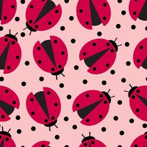pink-ladybugs