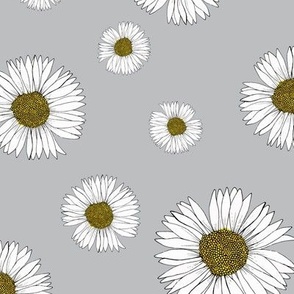 Grey Daisies