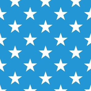 Small scale // Pointed stars coordinate // pacific blue background white American flag stars