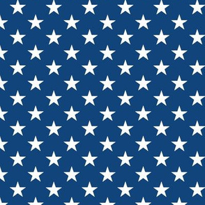 Tiny scale // Pointed stars coordinate // classic blue background white American flag stars