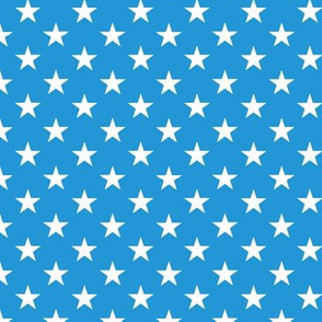 Tiny scale // Pointed stars coordinate // pacific blue background white American flag stars
