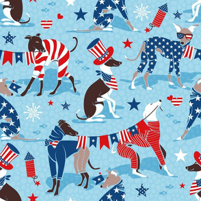 Normal scale // Greyhounds USA parade // cornflower blue background vivid red white and classic blue stars and stripes cute dogs