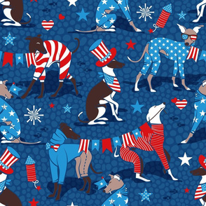 Normal scale // Greyhounds USA parade // classic blue background vivid red pacific blue and white stars and stripes cute dogs