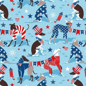 Small scale // Greyhounds USA parade // cornflower blue background vivid red white and classic blue stars and stripes cute dogs