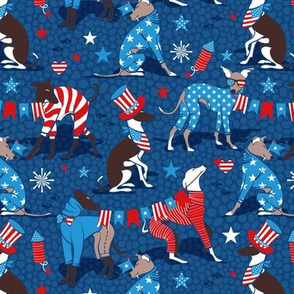 Small scale // Greyhounds USA parade // classic blue background vivid red pacific blue and white stars and stripes cute dogs