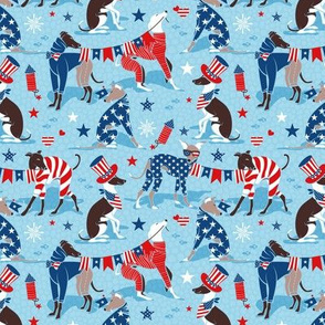 Tiny scale // Greyhounds USA parade // cornflower blue background vivid red white and classic blue stars and stripes cute dogs