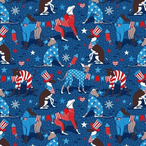 Tiny scale // Greyhounds USA parade // classic blue background vivid red pacific blue and white stars and stripes cute dogs