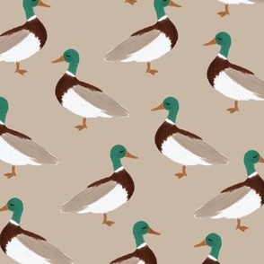 taupe mallards