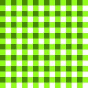 Gingham - Poison Green White