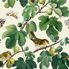Figs & Birds - Large - White
