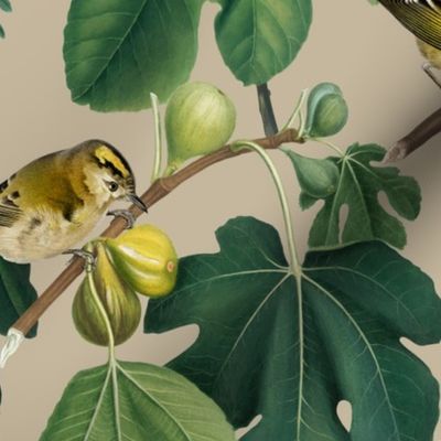 Figs & Birds - Large -Tan Gray Brown