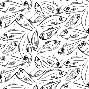 Black and White fishes illustration