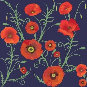 Dotty about poppies