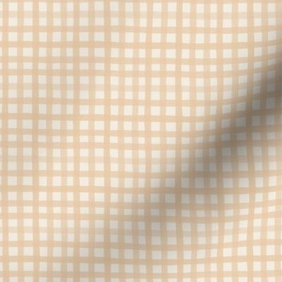 Grandmas-Gingham-in-Blush 2x2