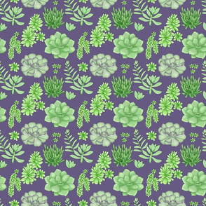 Succulents Purple Small Loose
