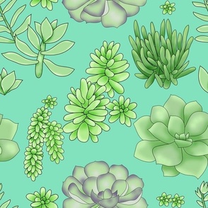 Succulents Teal Medium Loose