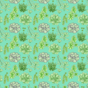 Succulents Teal Small Loose