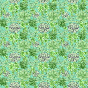 Succulents Turquoise Packed Small
