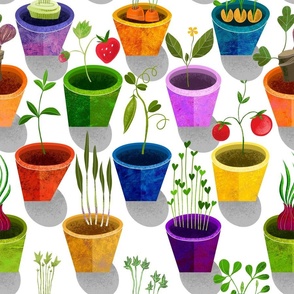 Lots of Pots of Potted Plants 