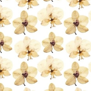 Orchid field pattern beige