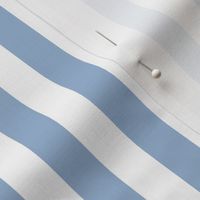 Cerulean Blue and White  Vertical Cabana Tent Stripes