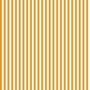 COORDINATE TO SNAILS STRIPED BACKGROUND MARIGOLD WHITE FLWRHT