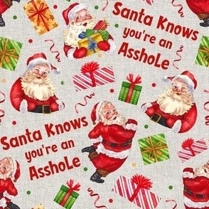 Medium Scale Santa Knows You're an Asshole Sarcastic Christmas