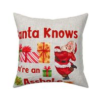 18x18 Panel Santa Knows You're an Asshole Sarcastic Christmas for DIY Throw Pillow or Cushion Cover