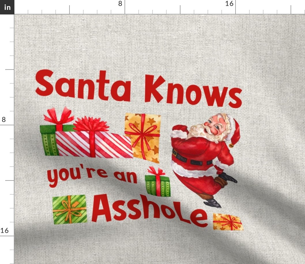 18x18 Panel Santa Knows You're an Asshole Sarcastic Christmas for DIY Throw Pillow or Cushion Cover