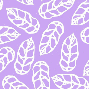 Monkey Monstera - Purple