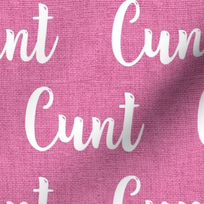 Large Scale Cunt White on Pink Textured Background
