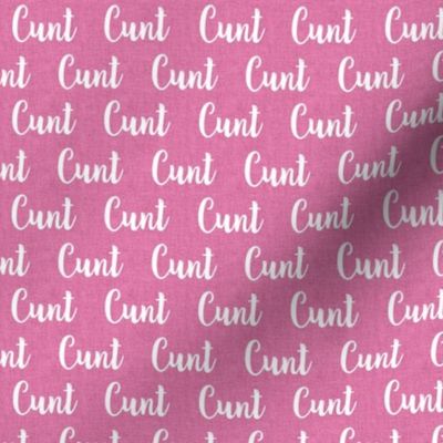 Small Scale Cunt White Letters on Pink Textured Background