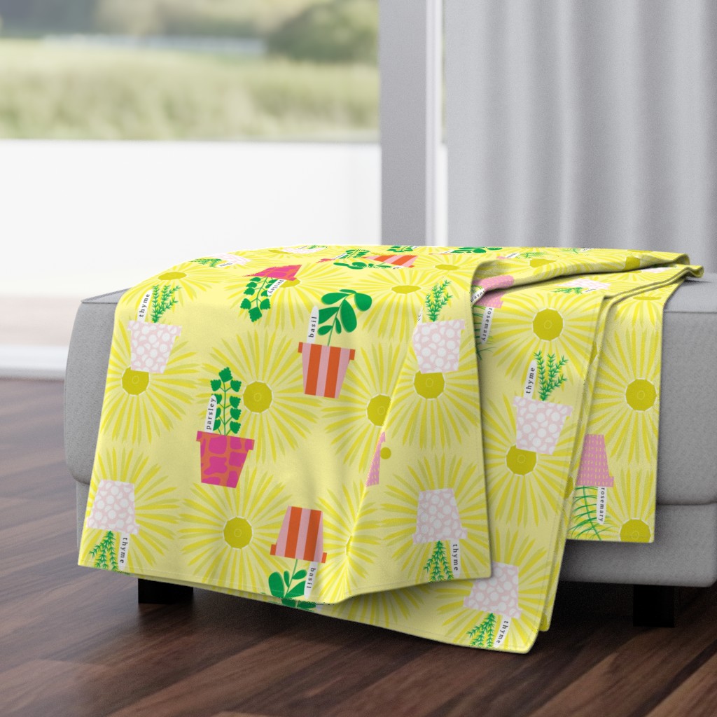 Herb Garden in Patterned Flower Pots with Yellow Daisies