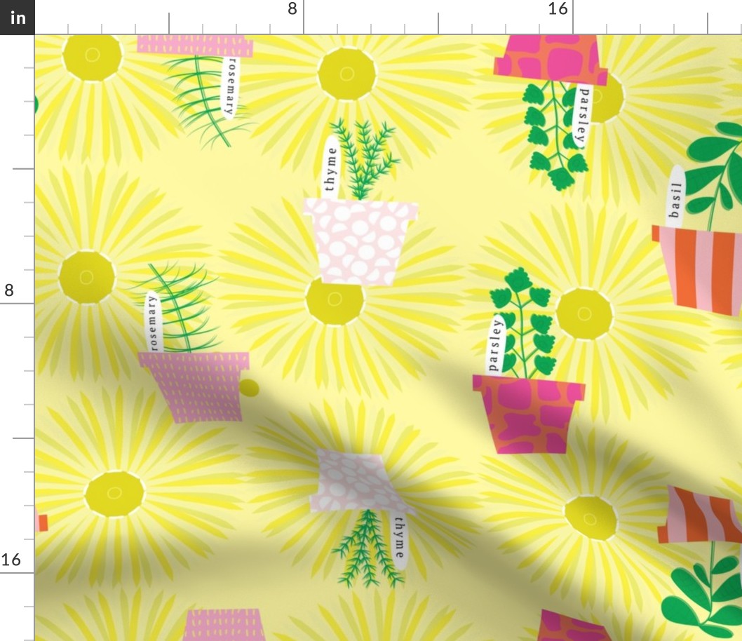 Herb Garden in Patterned Flower Pots with Yellow Daisies