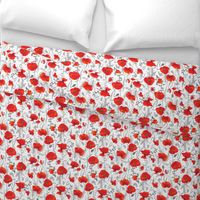 Red poppy - medium
