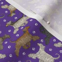 Tiny Trotting Afghan Hounds and paw prints - purple