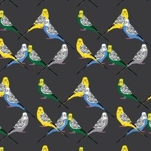 Parakeets Looking at You - Multi Gray - Small