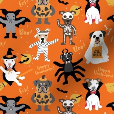 Dog Halloween Costume Party - Dark Orange, Medium Scale