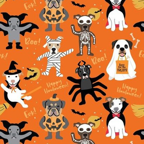Dog Halloween Costume Party - Dark Orange, Medium Scale