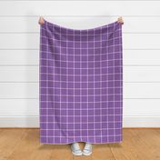 windowpane grid 4" amethyst purple reversed