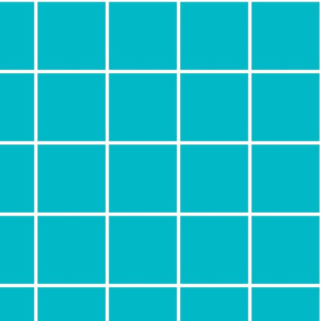 windowpane grid 4" surfer blue reversed