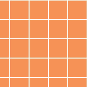 windowpane grid 4" tangerine orange reversed
