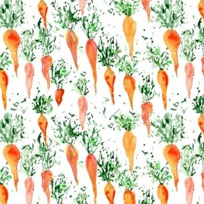 grandma's organic carrot - watercolor fresh garden carrots - vegetables ap118-1