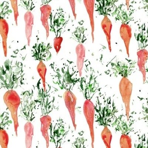 grandma's organic carrot - watercolor fresh garden carrots - vegetables ap118-2