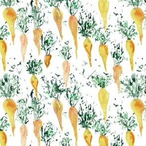 grandma's organic yellow carrot - watercolor fresh garden carrots - vegetables ap118-3