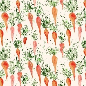 grandma's organic carrot on cream - watercolor fresh garden carrots - vegetables ap118-4