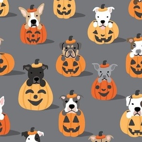 Pitties in Pumpkins - Gray, Large Scale