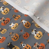Pitties in Pumpkins - Gray, Small Scale_4w